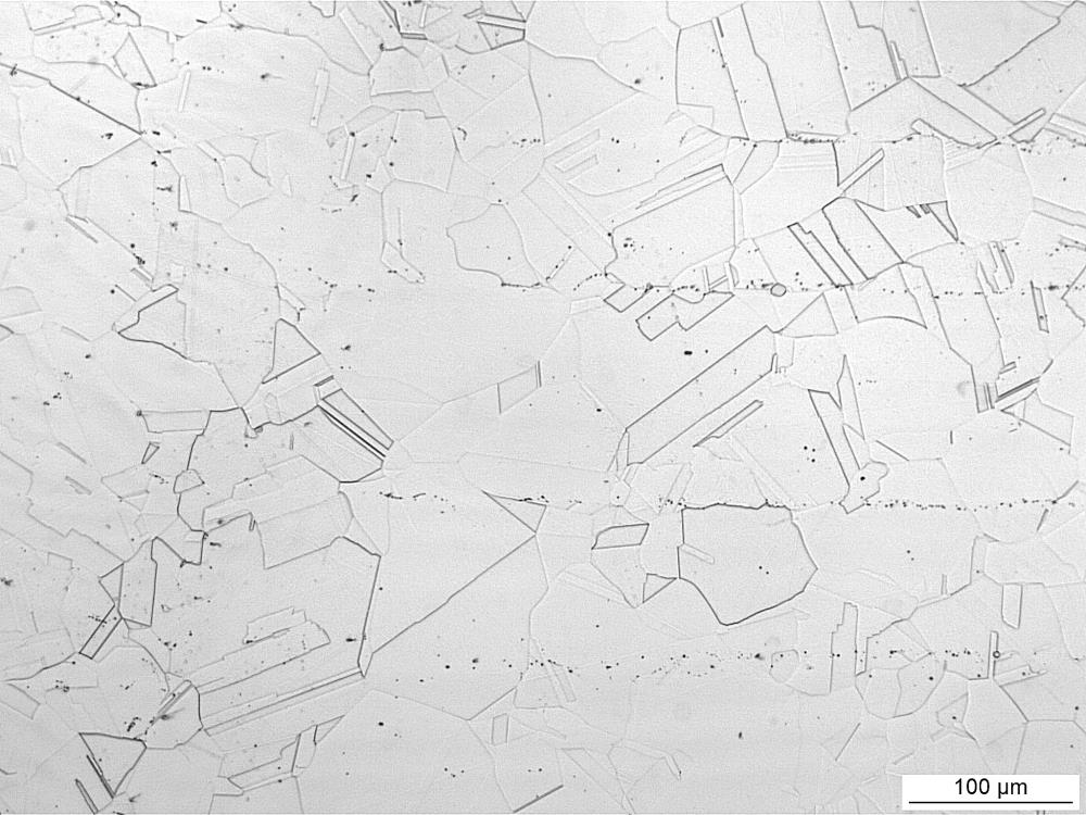 Repliche metallografiche